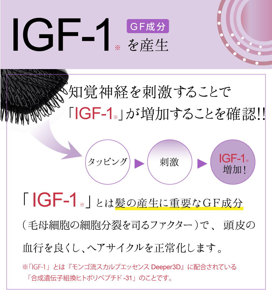 IGF-1を産生