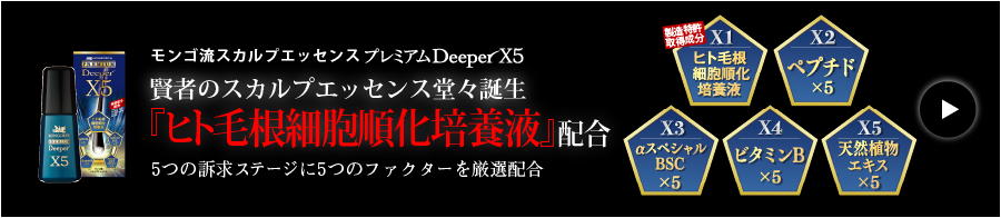 プレミアムDeeperX5