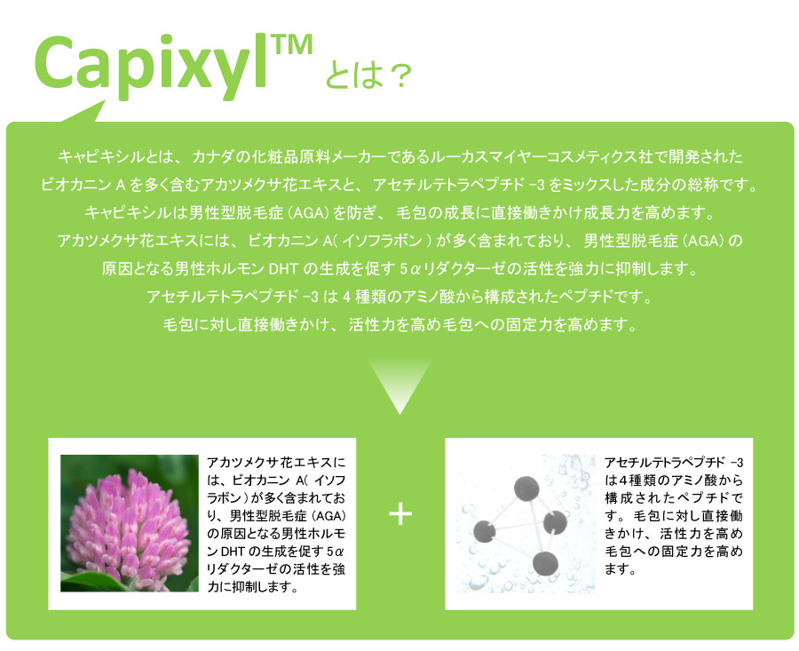 キャピキシル アセチルテトラペプチド 3 アカツメクサ花エキス Deeper3d