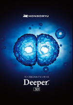 Deeper3Dパンフレット