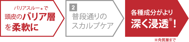 バリアスルーが頭皮のバリア層を柔軟にして、各種成分の浸透を促進する