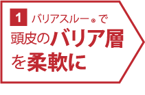 バリアスルーで頭皮のバリア層を柔軟に