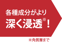 有用成分がより多く浸透！