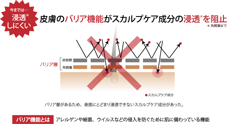 今までは皮膚のバリア機能が浸透を阻止