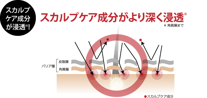 スカルプケア製品の有用成分がより多く浸透