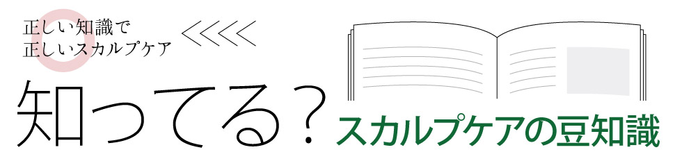 知ってる？スカルプケアの豆知識