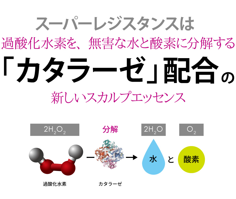 過酸化水素を分解するカタラーゼ配合