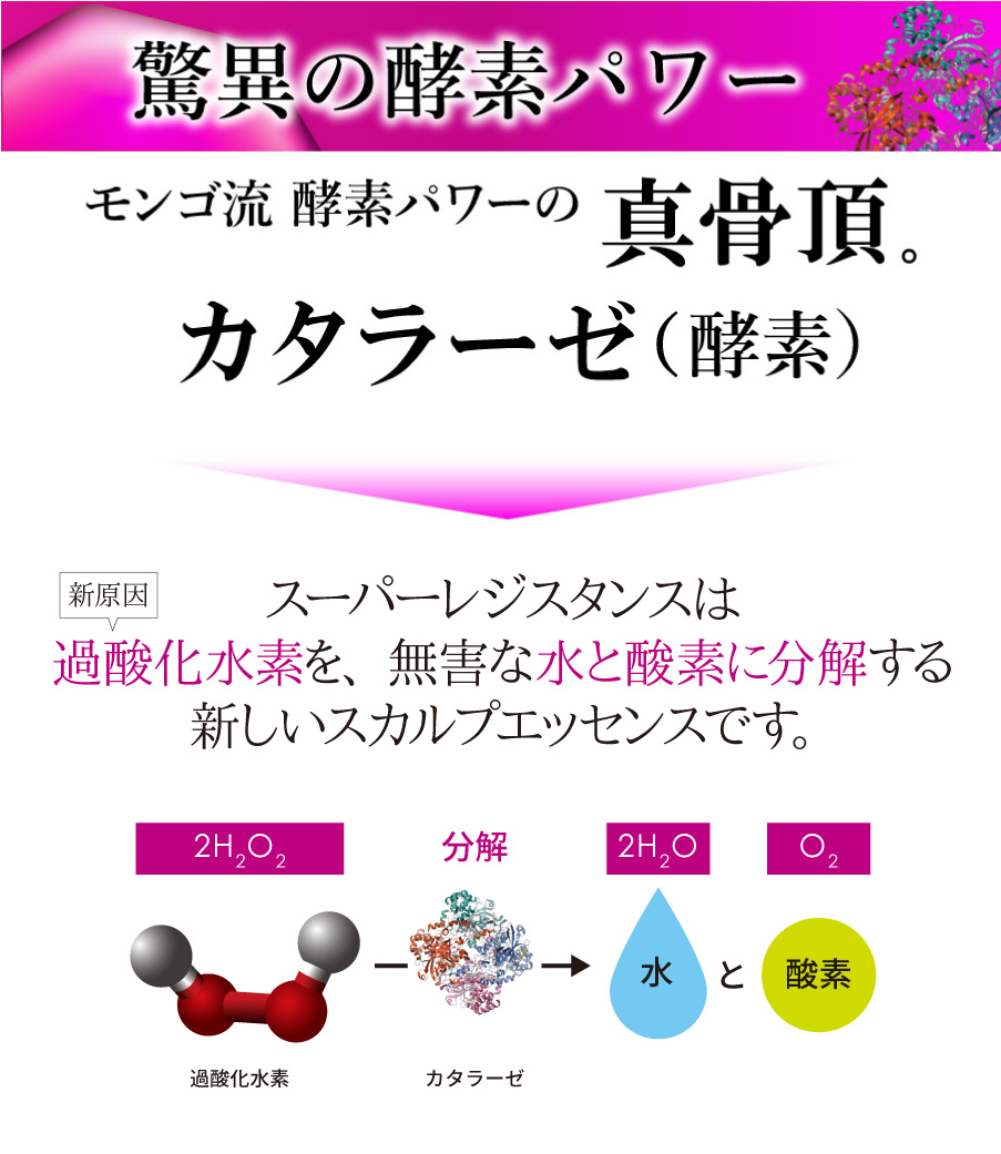 コラーゲンの減少を阻止するカタラーゼ