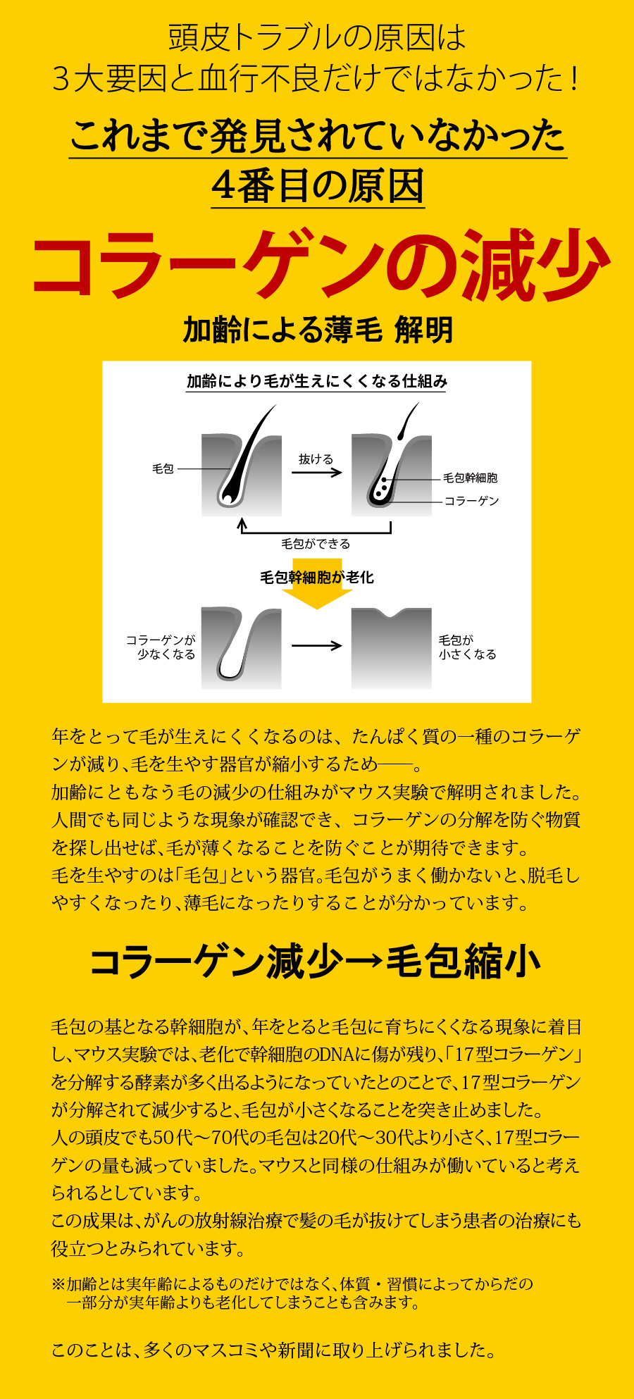 「加齢による薄毛　解明」新聞記事