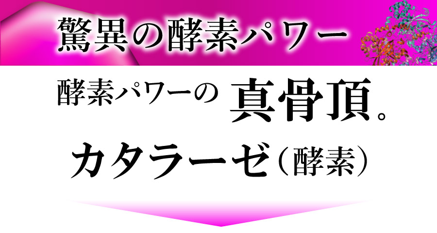 驚異の酵素パワー