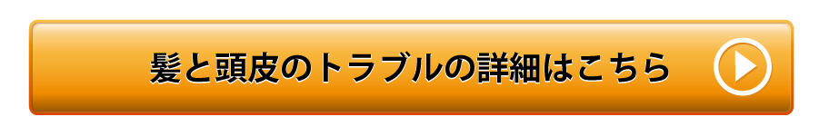 トラブルの詳細はこちら