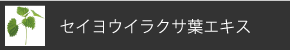 セイヨウイラクサ葉エキス