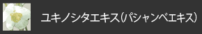 ユキノシタケイス（パシャンベエキス）