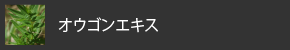 オウゴンエキス