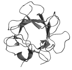 KGF(発毛促進因子)