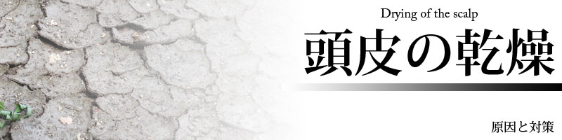 頭皮の乾燥の原因と対策、そしてDeeperで頭皮臭に対してどう改善していくのか