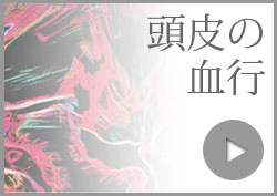 頭皮の血行不良の原因と対策