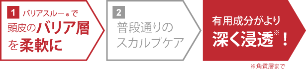 バリアスルーが頭皮のバリア層を柔軟にして有用成分の浸透を促進
