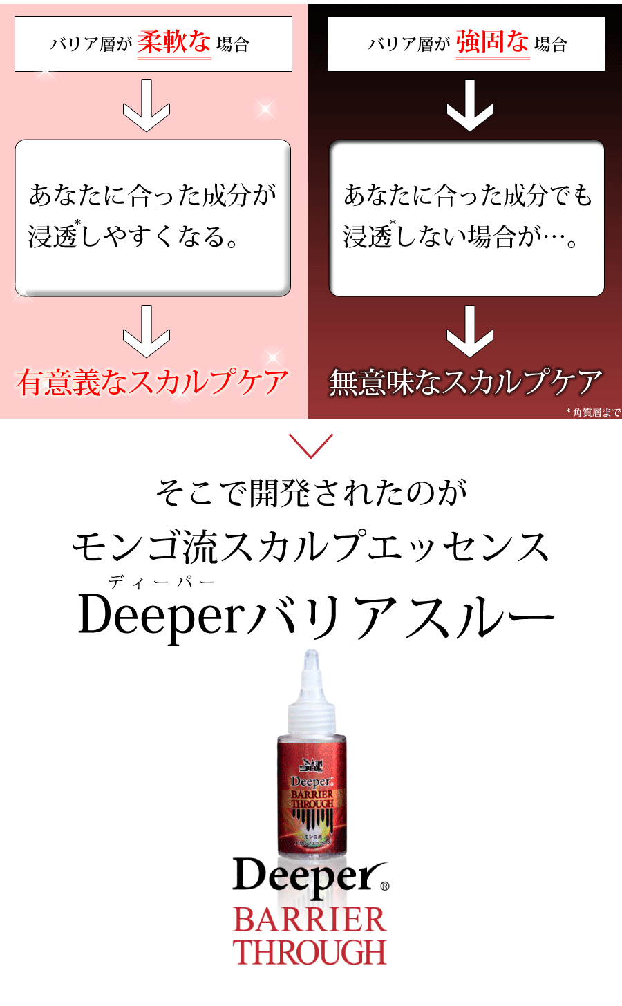 浸透しない状態でスカルプケアをしても意味がありません。そこで開発されたのが「ディーパーバリアスルー」