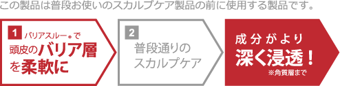 この製品は普段お使いのスカルプケア製品の前に使用する製品です。