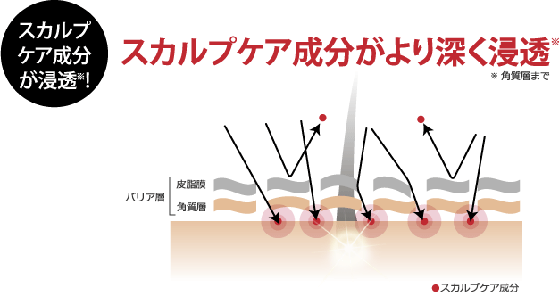 スカルプ製品の有用成分がより多く浸透