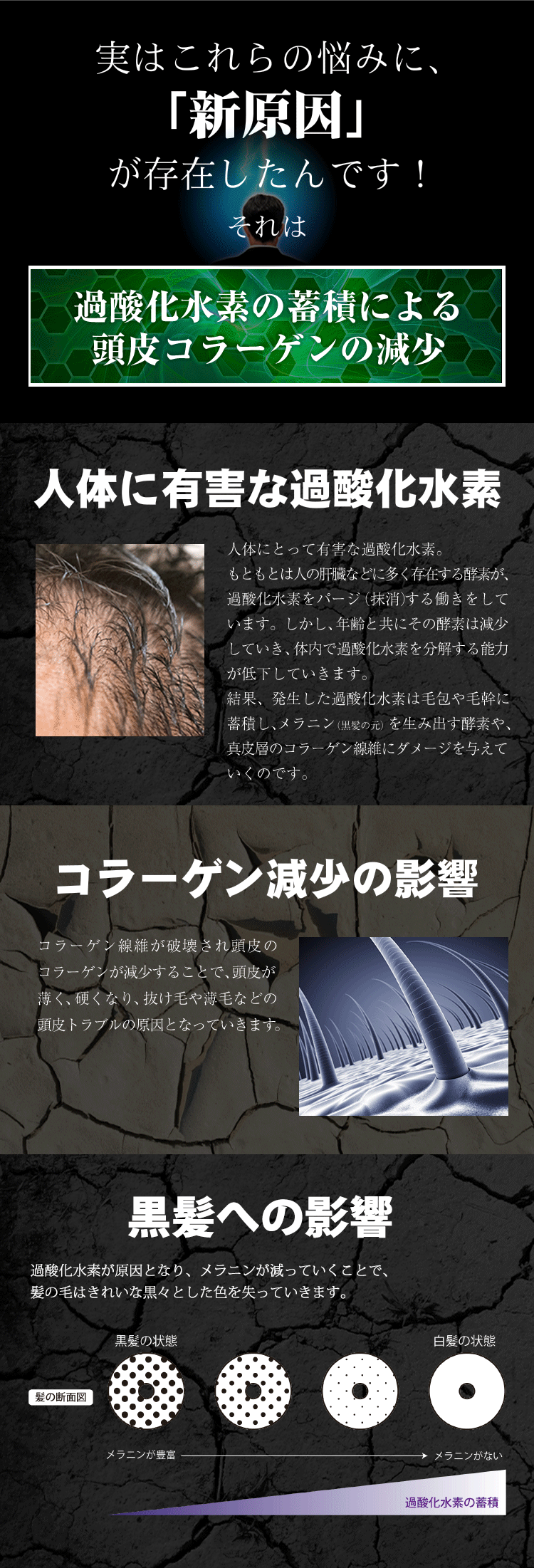 	 実はこれらの悩みに、「新原因」が存在したんです！それは過酸化水素の蓄積による頭皮コラーゲンの減少
