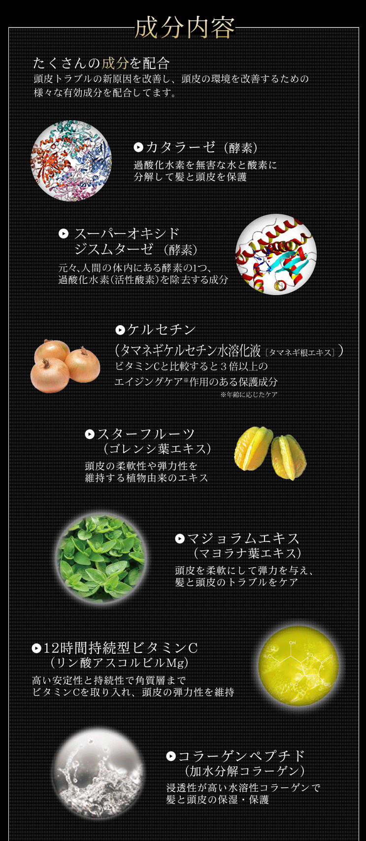 注目成分内容