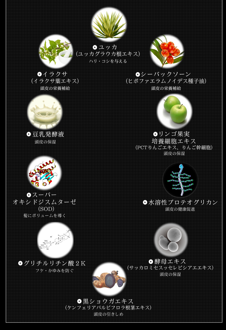 成分内容