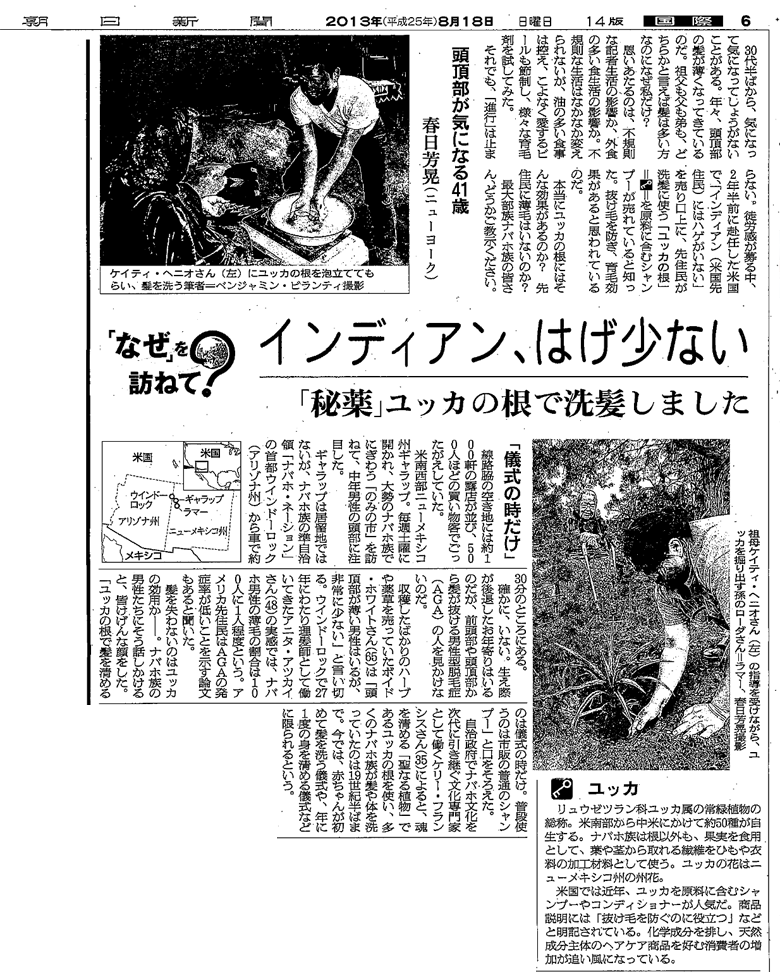 朝日新聞掲載記事「インディアンハゲ少ない―秘薬ユッカの根で洗髪しました―」