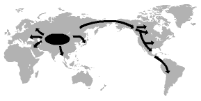 モンゴロイドの大移動地図