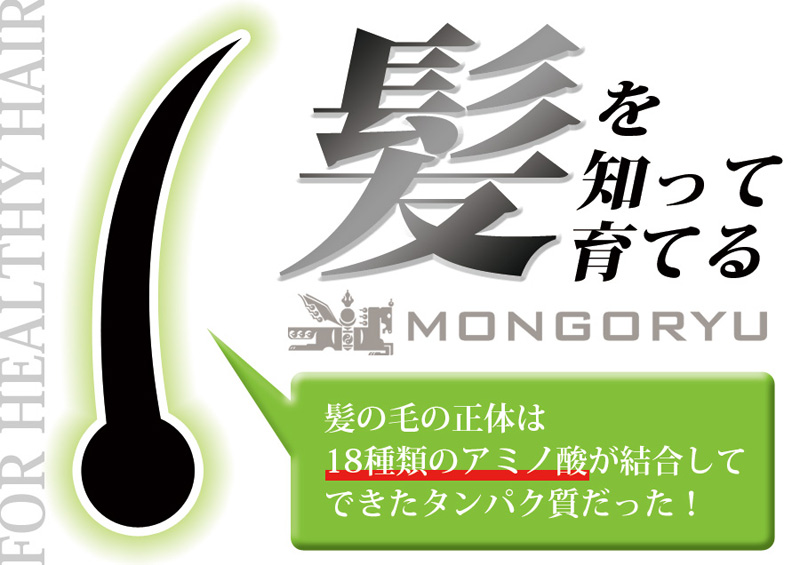 「髪を知って育てる」髪の毛の正体は18種類のアミノ酸が結合してできたタンパク質だった！