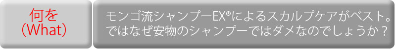 石油系合成界面活性剤詳細ページへ