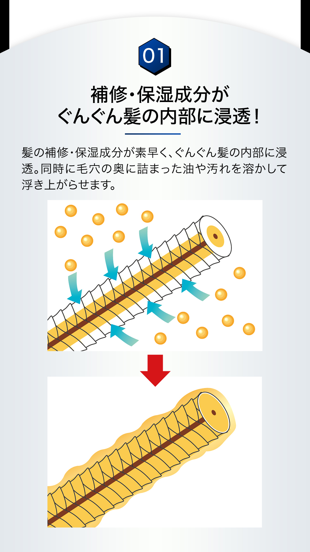 01：補修・保湿成分がぐんぐん髪の内部に浸透！