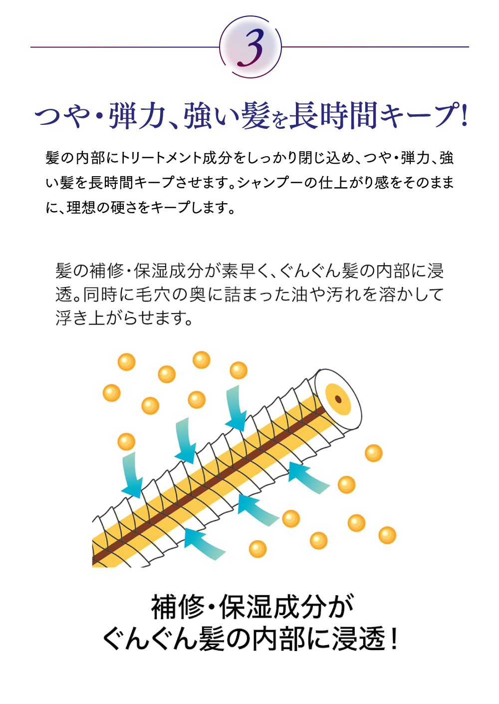 つや・弾力、強い髪を長時間キープ