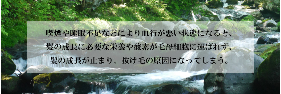 血流は頭皮に栄養を運ぶ