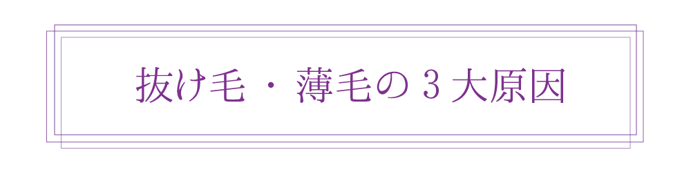 抜け毛・薄毛の原因