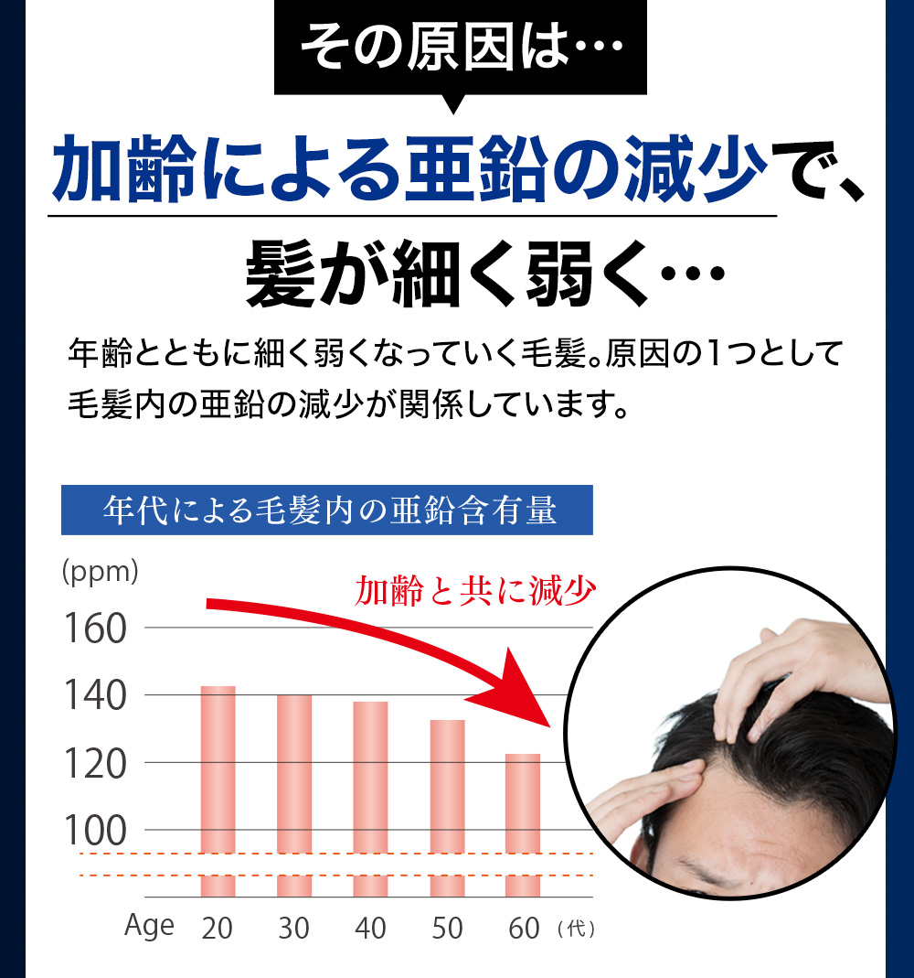 その原因は・・・加齢による亜鉛の減少で、髪が細く弱く・・・