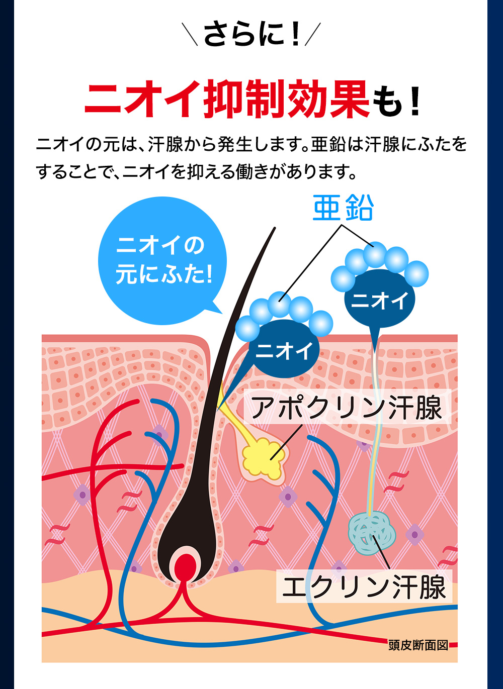 さらに！ニオイ抑制効果も！