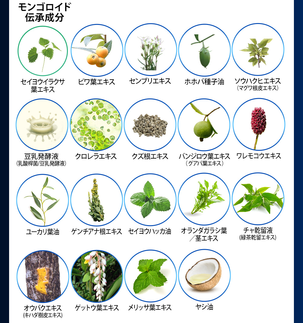 モンゴロイド伝承成分とその他