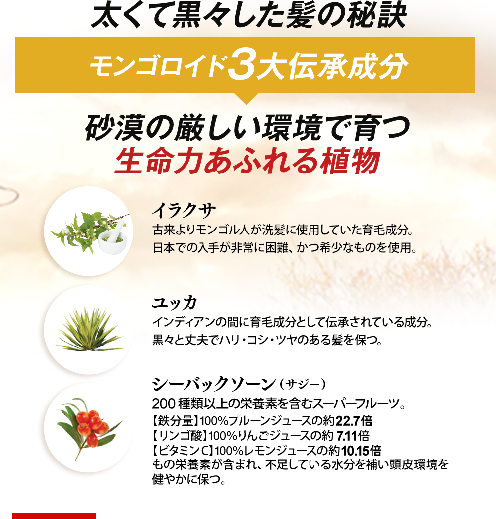 モンゴロイド３大伝承成分