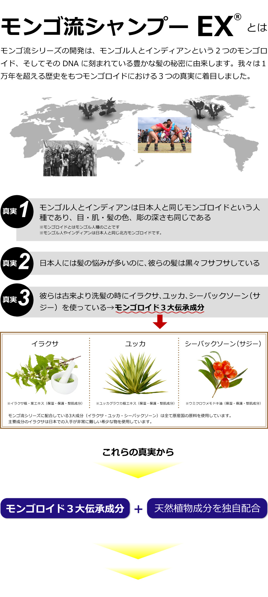 モンゴ流シャンプーEXとは