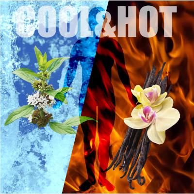 cool&hotサイクロン