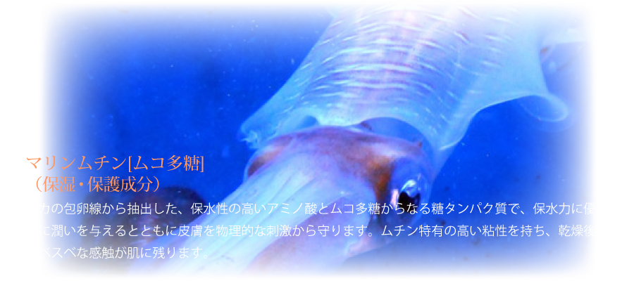 マリンムチン新配合